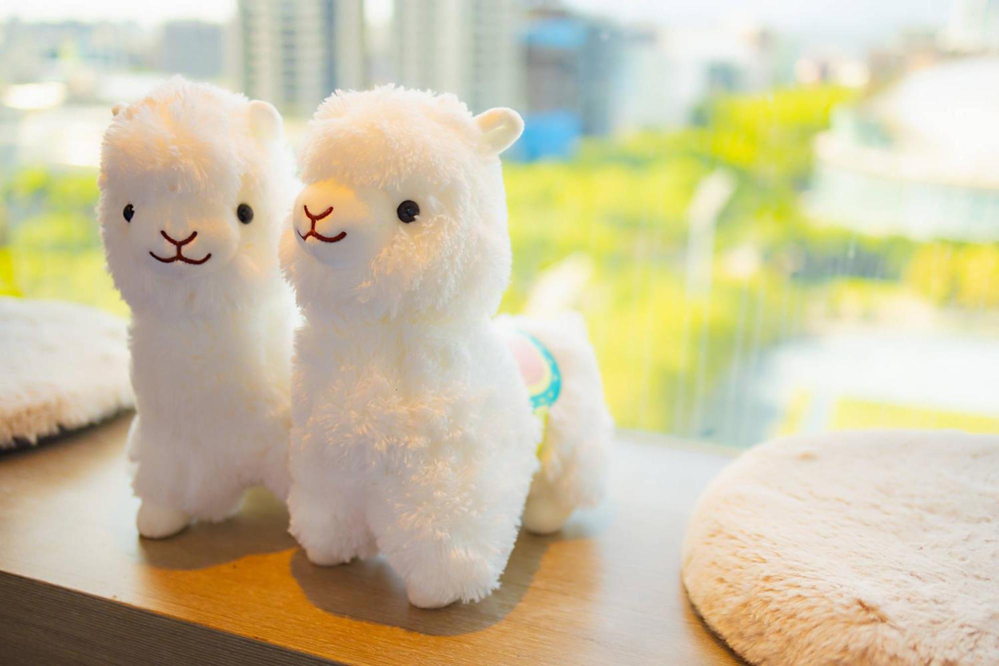 美寓藝術文旅 Meistay Art Gallery Hotel Taipei Dış mekan fotoğraf